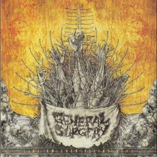 Like an Ever Flying Limb mp3 Album by General Surgery