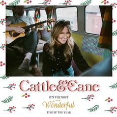 It's the Most Wonderful Time of the Year mp3 Single by Cattle & Cane
