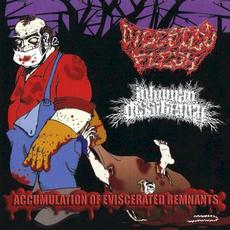 Accumulation of Eviscerated Remnants mp3 Compilation by Various Artists