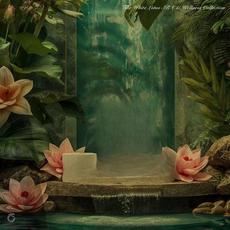 The White Lotus SPA & Wellness Collection mp3 Compilation by Various Artists