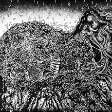 Putrefaction Sets In & FesterDecay mp3 Compilation by Various Artists