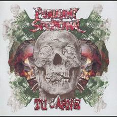 Purulent Spermcanal & Tu Carne mp3 Compilation by Various Artists