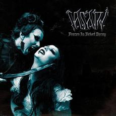 Frozen In Velvet Decay mp3 Album by Vasari