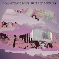 Public Luxury mp3 Album by Downtown Boys