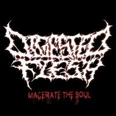 Macerate the Soul mp3 Album by Digested Flesh