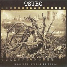 ...con cognizione di causa mp3 Album by Tsubo