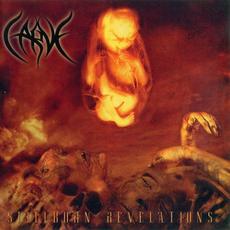 Stillborn Revelations mp3 Album by Carve