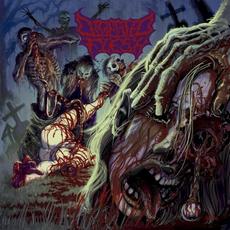 Congregation of Flesh mp3 Artist Compilation by Digested Flesh