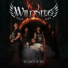 Too Good To Be True mp3 Single by Wildnite