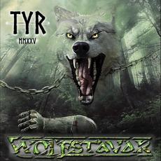 Tyr MMXXV mp3 Single by Wolfstavar