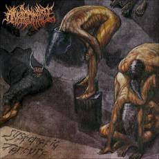 Systematic Torture mp3 Album by Anatomize