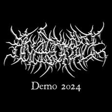 Demo 2024 mp3 Album by Anatomize