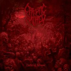 Nocturnal Sickness mp3 Album by Cryptic Hatred