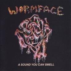 A Sound You Can Smell mp3 Album by Wormface