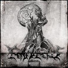 Mortuary mp3 Album by Feto In Fetus