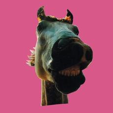 Do!! The★MUSTANG mp3 Album by ↑THE HIGH-LOWS↓