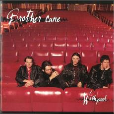 Wishpool mp3 Album by Brother Cane