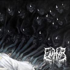 Various Types of Flesh mp3 Album by Emhyr