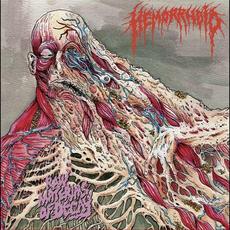 Raw Materials Of Decay mp3 Album by Hemorrhoid