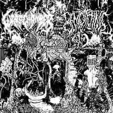 Warp Chamber / Benothing mp3 Compilation by Various Artists