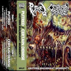Eastern Malignant Morbidity mp3 Compilation by Various Artists