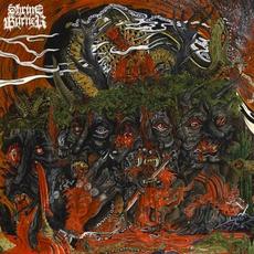 Hymns of Despair mp3 Album by Shrineburner
