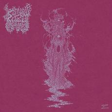 Deformity in Ceremony mp3 Album by Sallow Moth