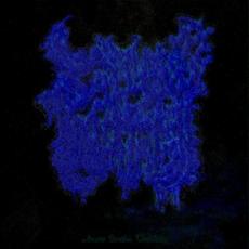 Arcane Benthic Umbilicus mp3 Album by Sallow Moth