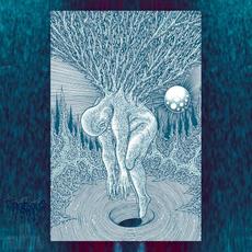 Blue Permutations mp3 Album by Sallow Moth