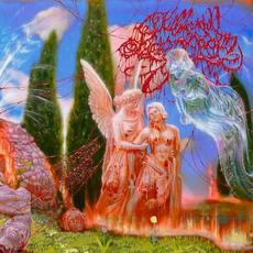 Encephalic Angels mp3 Album by Killing of a Sacred Deer