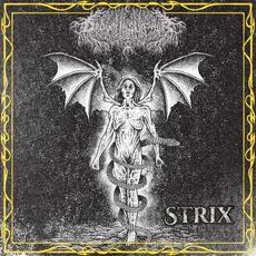 Strix mp3 Album by Drown in Sulphur