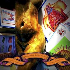 Pillars of Knowledge mp3 Album by Medical Etymology