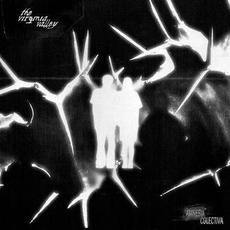 Amnesia Colectiva mp3 Album by The Virginia Valley