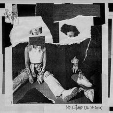 No Futuro (& V-Sides) mp3 Album by The Virginia Valley
