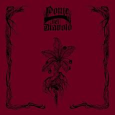 Mystery of Mystery mp3 Album by Ponte del Diavolo