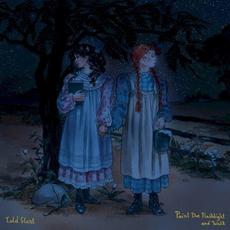 Point the Flashlight and Walk mp3 Album by Told Slant