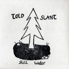 Still Water mp3 Album by Told Slant