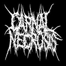 Demo September mp3 Album by Carnal Necrosis