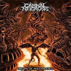 Origins Of Malevolence mp3 Album by Carnal Necrosis