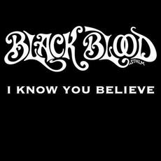 I Know You Believe mp3 Single by Black Blood Sthlm