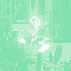 Stochastic Parrot mp3 Album by Mike Cooper