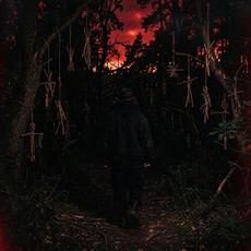 Interferences mp3 Album by Under Machines