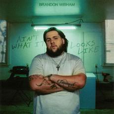 Ain't What It Looks Like mp3 Album by Brandon Wisham