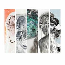 Dvnkelheit (Edit) mp3 Album by Consvmer