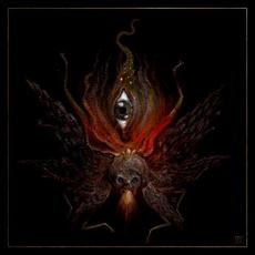 Vomit Meditations mp3 Album by Acausal Intrusion