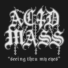 Seeing Thru My Eyes (Broken Bones cover) mp3 Single by Acid Mass