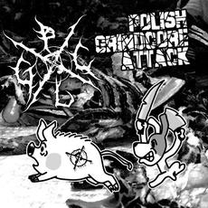 Polish Grindcore Attack mp3 Compilation by Various Artists