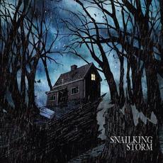 Storm mp3 Album by Snailking