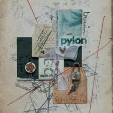 Pylon mp3 Album by beabadoobee