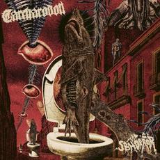 Sbhorror mp3 Album by Carcharodon